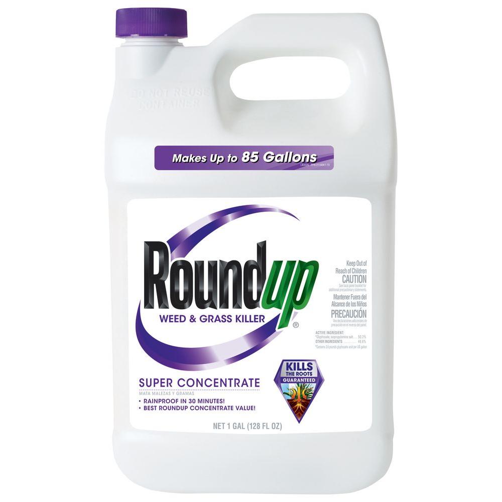 Roundup Weed and Grass Killer 1 Gal. 50% Super Concentrate-5004215 - The Home Depot