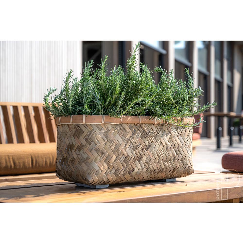 Nouri Extra Small 15.7 in. L Bamboo Indoor/Outdoor Rectangle Planter