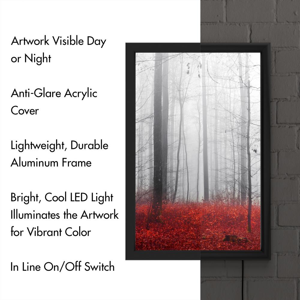 Trademark Fine Art Little Red Carpet By Philippe Sainte Laudy Framed With Led Light Landscape Wall Art 24 In X 16 In Psl0273 B Led The Home Depot
