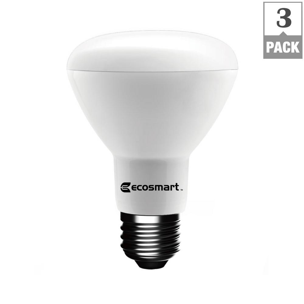 EcoSmart - LED Bulbs - Light Bulbs - The Home Depot