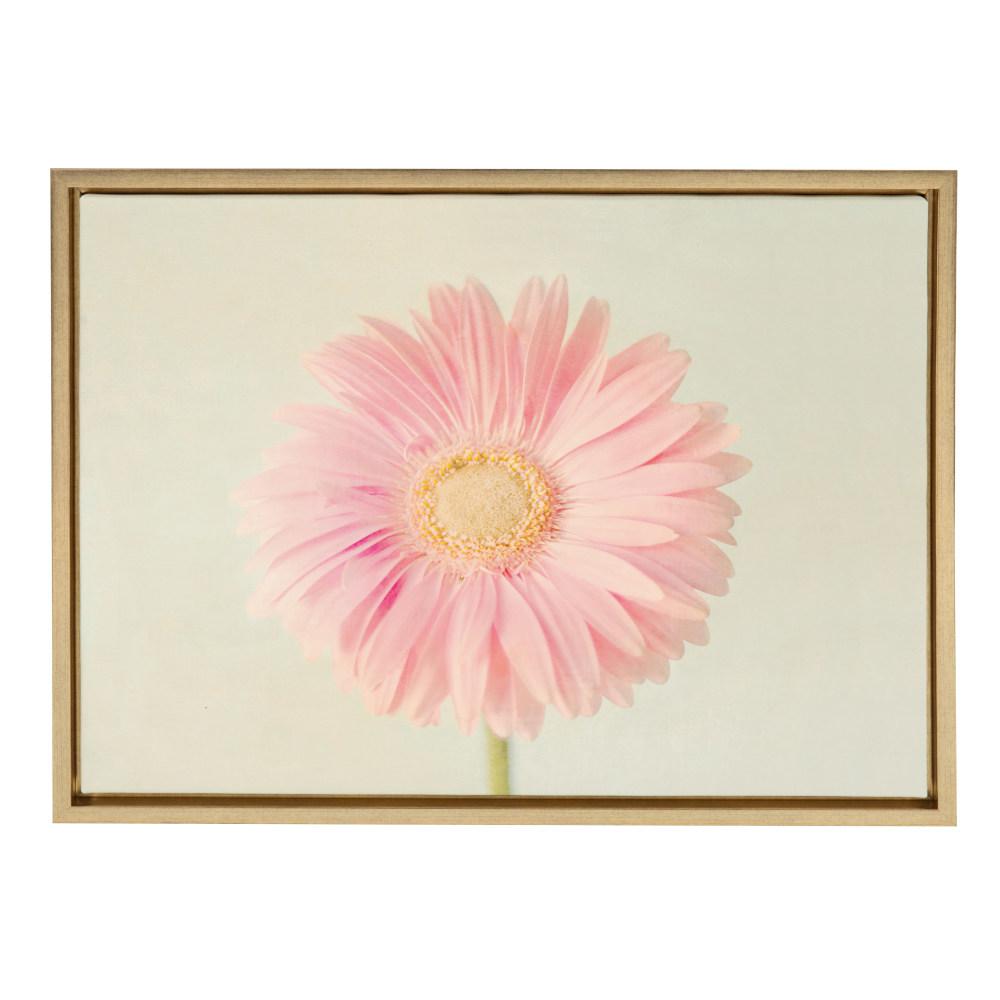 Kate And Laurel Sylvie Gerbera Daisy By Kristybee Framed Canvas Sylvie Gerbera Daisy By Kristybee Framed Canvas Wall Art
