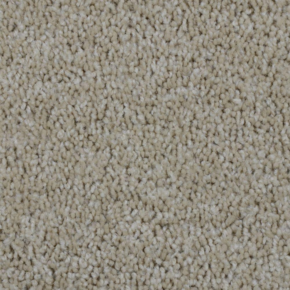 Bold Signature Color Oakton Texture 12 Ft Carpet H4103 3812 1200 Bold Signature Color Oakton Texture 12 Ft Carpet