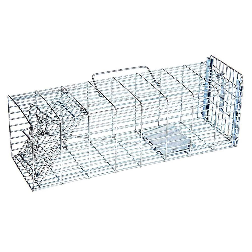 JT Eaton Answer Single Door Live Animal Cage Trap for Small Size Pests Steel... by JT Eaton