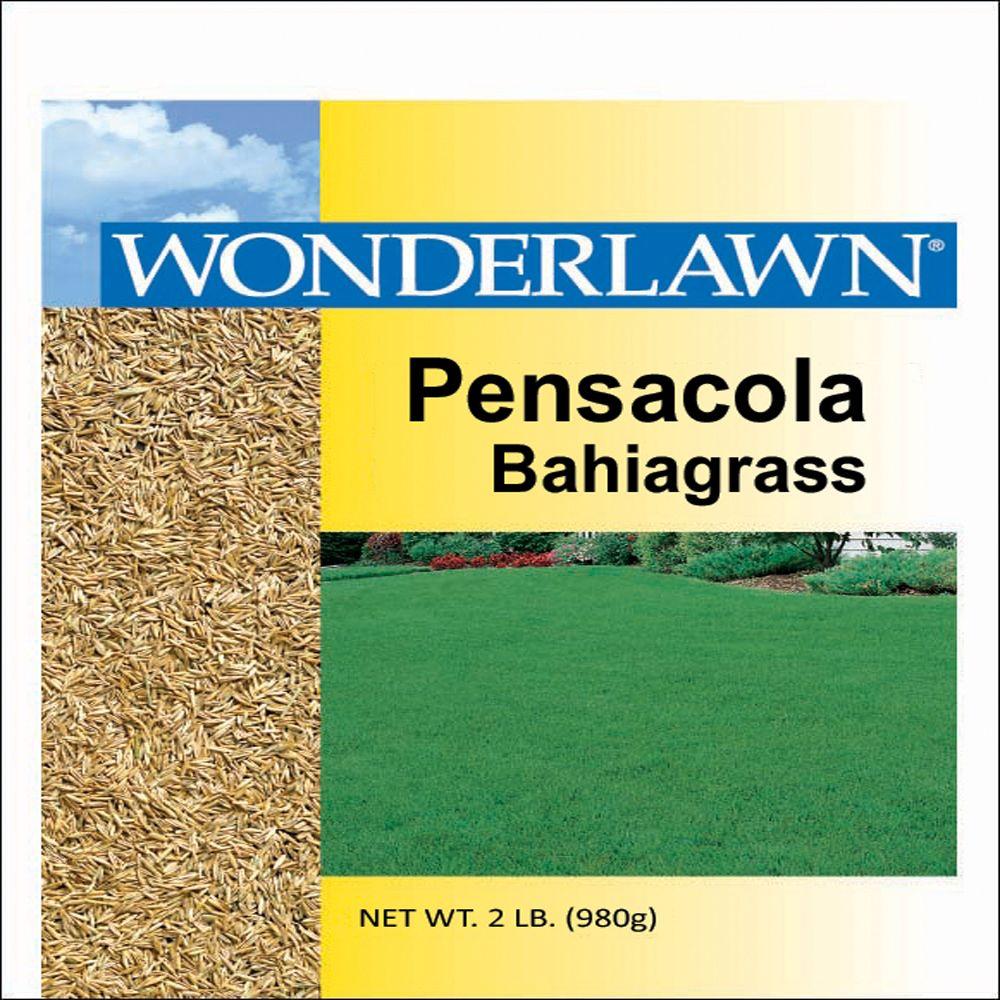 Wonderlawn 2 lb. Pensacola Bahia Grass Seed76202 The Home Depot