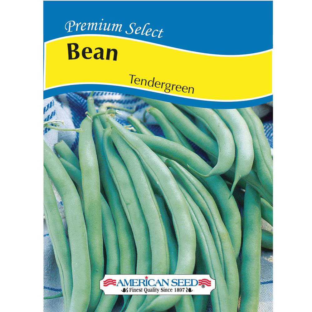 American Seed Bean Tendergreen AM Seed6016 The Home Depot