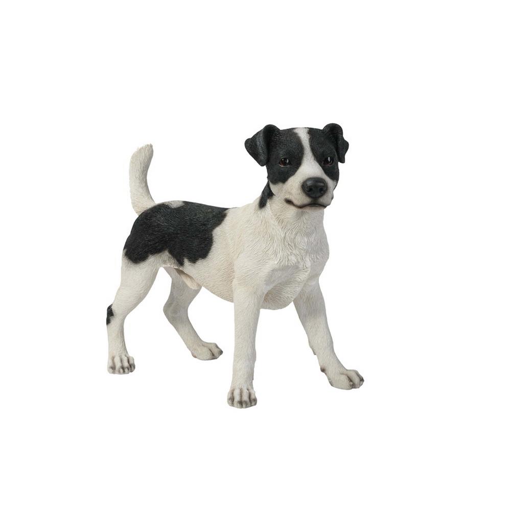 Jack Russell Terrier Disponibles La Perrera Criadero
