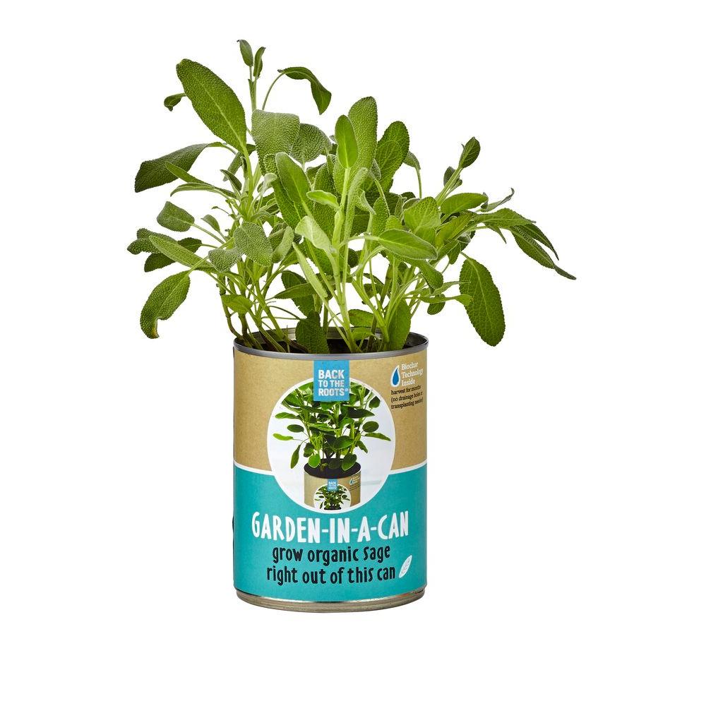 Back to the Roots 3 Gal. Water Garden Tank-32000 - The Home Depot