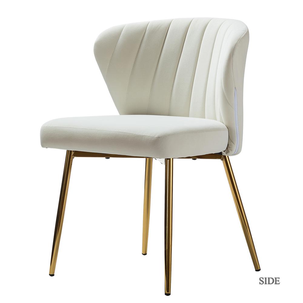 JAYDEN CREATION Luna Ivory Gold Legs Side ChairCHM6125AIVORY The