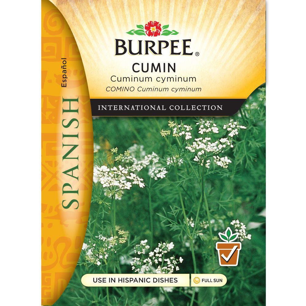 Burpee International Collection Spanish Herb Cumin Seed69653 The