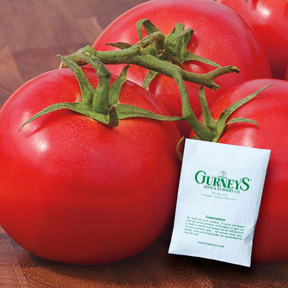 Gurney's Tomato Early Girl Hybrid (30 Seed Packet)15080 The Home Depot