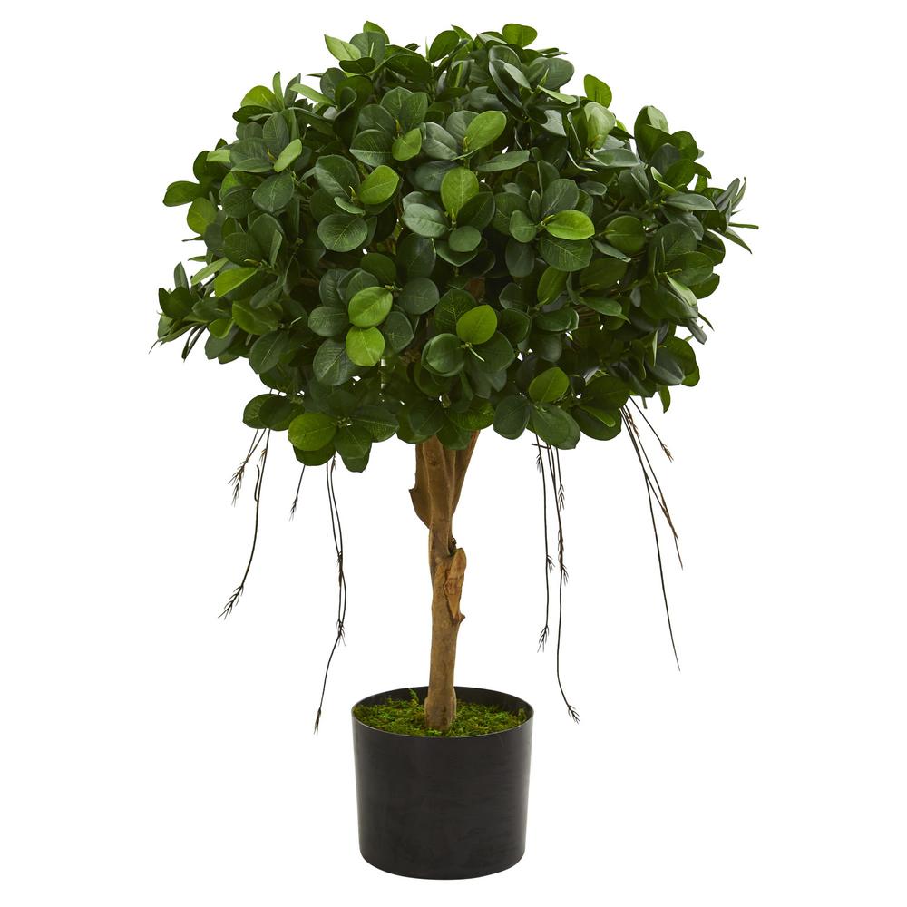 Nearly Natural Indoor 2 5 Ft Panda Ficus Artificial Tree 5573
