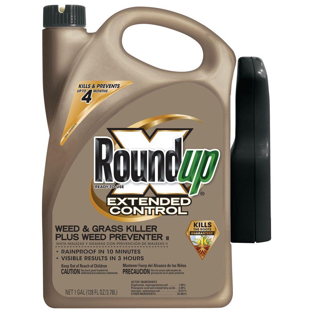 Extended Control Weed And Grass Killer Plus Extended Control Weed And Grass Killer Plus
