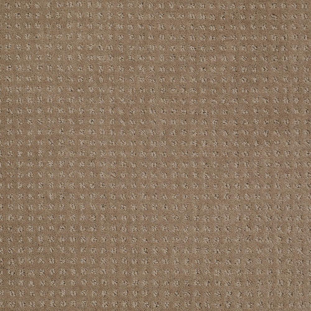 Platinum Plus Carpet Reviews Lets See New Design Platinum Plus Carpet Reviews Image Of Local Worship