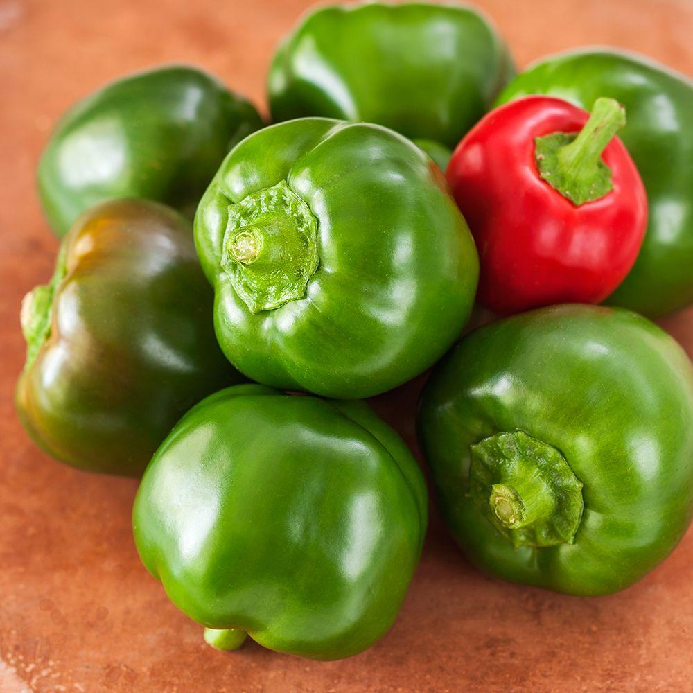 Home depot pepper plants information