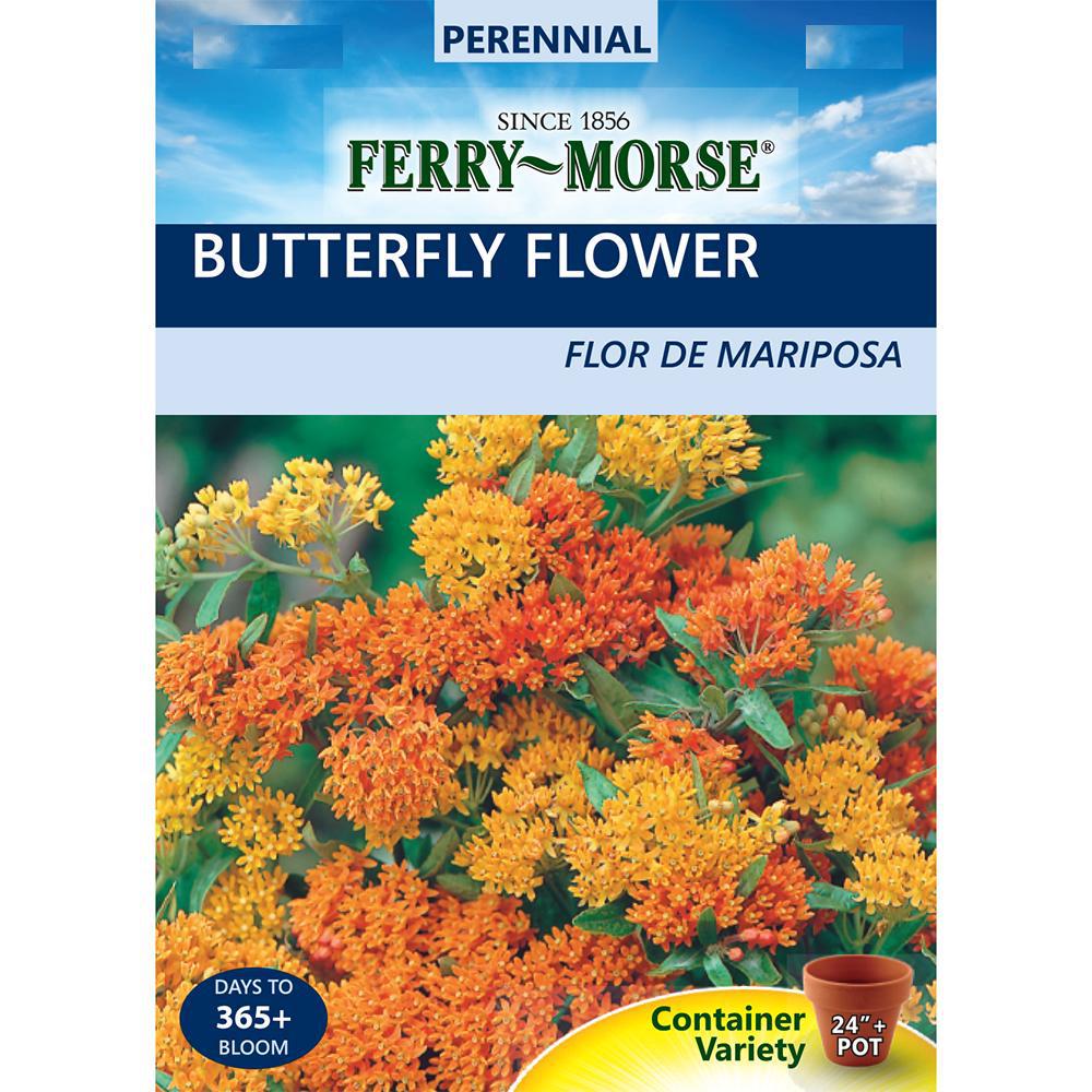 FerryMorse Butterfly Flower Seed1021 The Home Depot