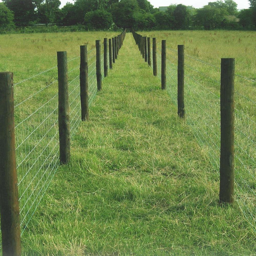 3 wire fence