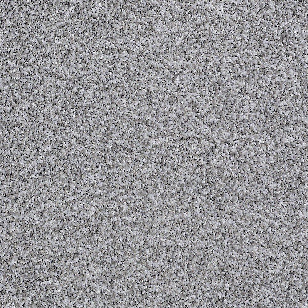 Home Decorators Collection Carpet Sample - Eden Cove - In Color