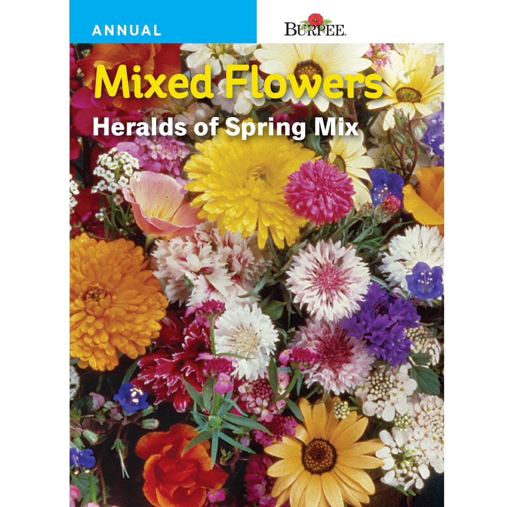 Bur Mixed Flowers Heralds Of Spring Seed 44073 The Home Depot Bur Mixed Flowers Heralds Of Spring
