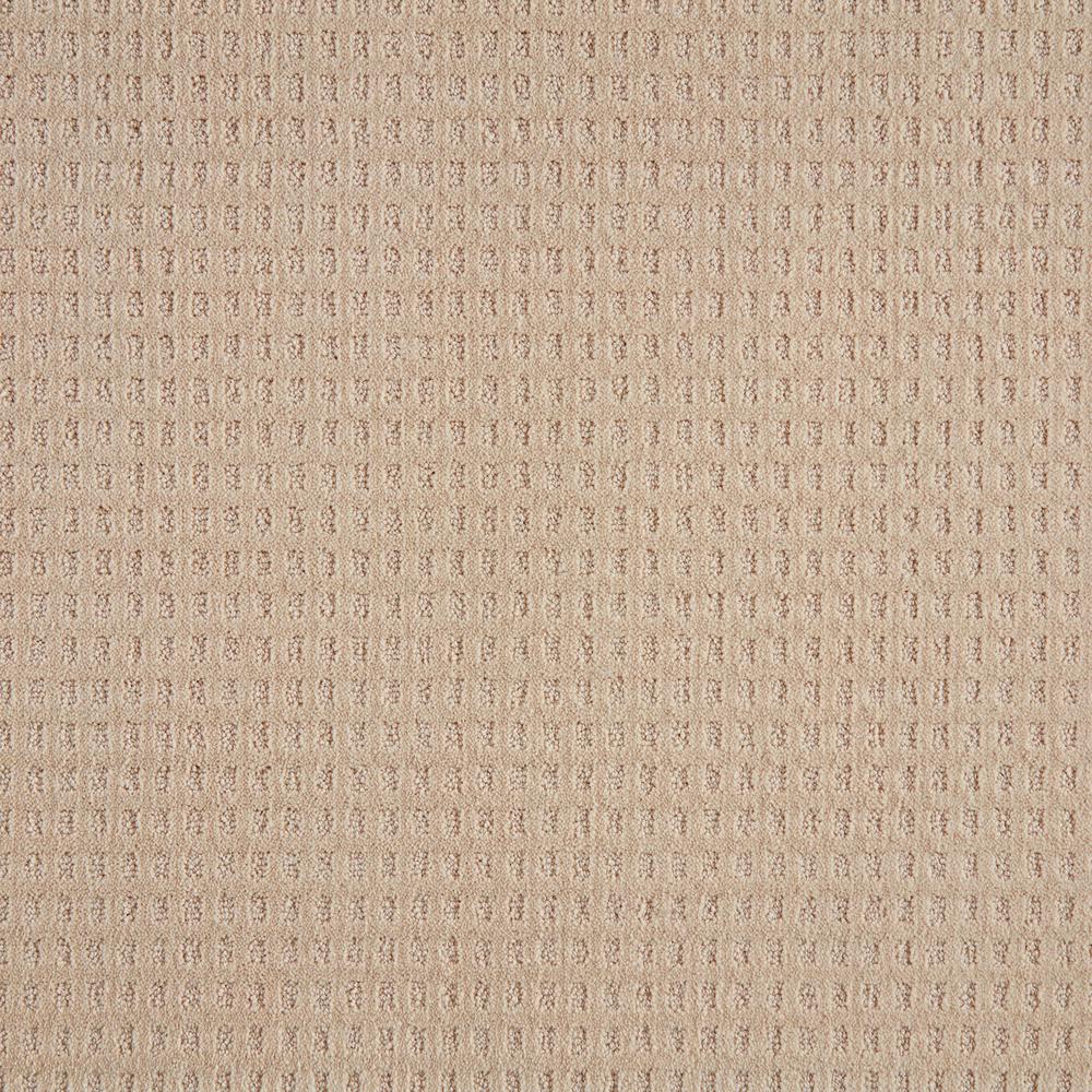 Lifeproof with Petproof Technology CanterColor Gypsy Moth Textured 12 ft. Carpet0703D3212