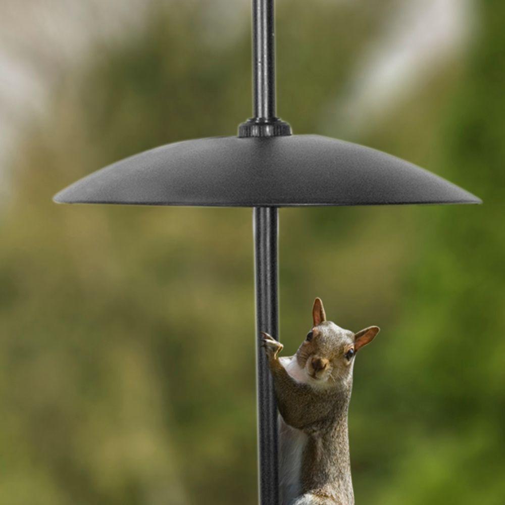 The Effort Less Birdfeeder 6 In Squirrel Baffle Kit In Black 6000