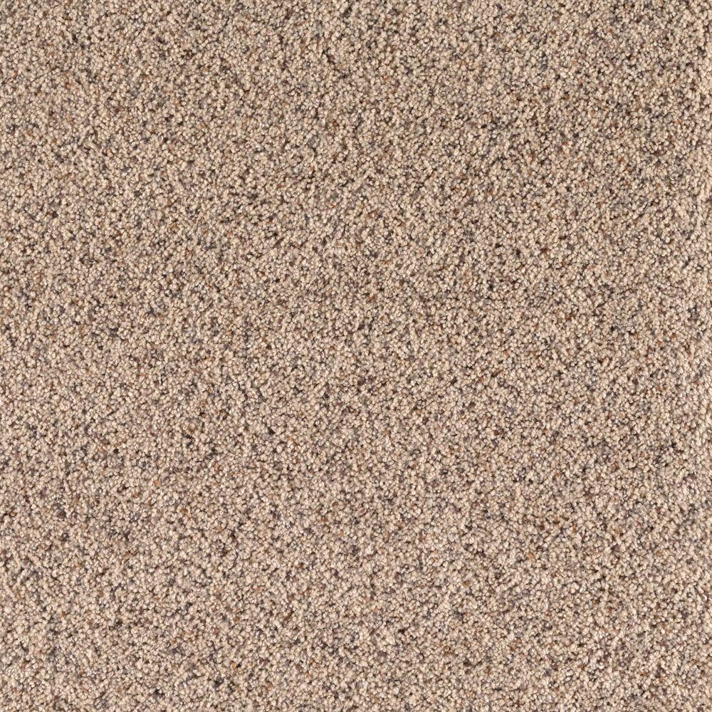 Qualifier - Color Timeless Beige Loop 12 ft. Carpet-0342D-24-12 - The Home Depot