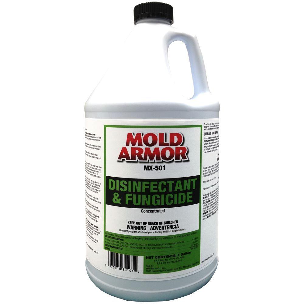 mold-armor-1-gal-disinfectant-and-fungicide-gom30101-the-home-depot