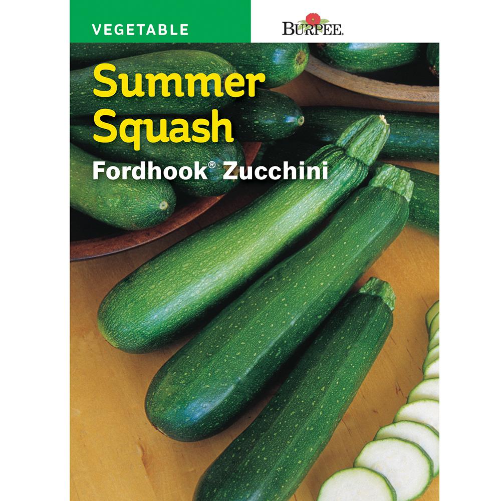 Burpee Squash Summer Burpee's Fordhook Zucchini Seed62013 The Home Depot