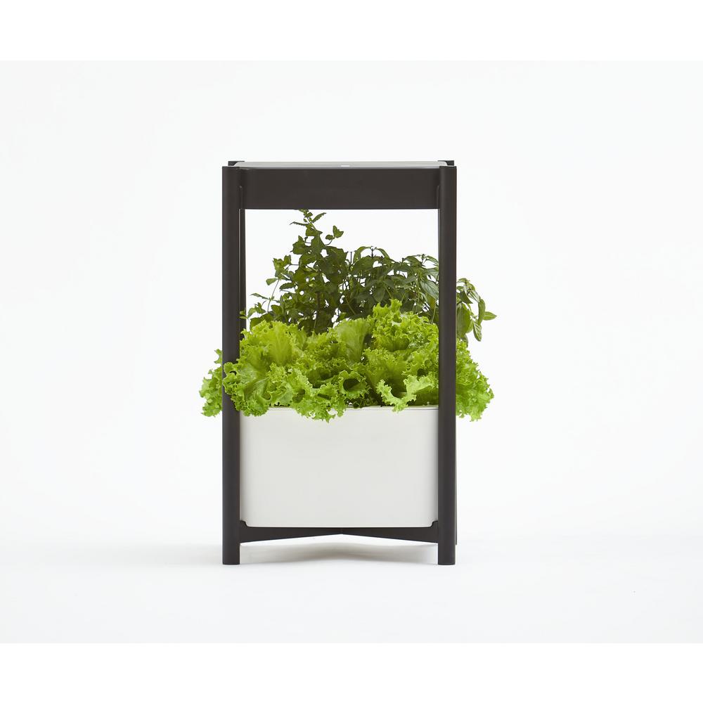 hydroponic gro miracle planters hydroponics