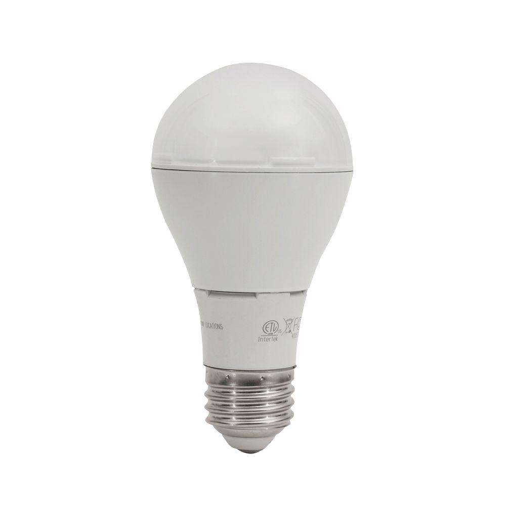 EcoSmart 40W Equivalent Bright White A19 LED Light Bulb (4-Pack)-ECS ...
