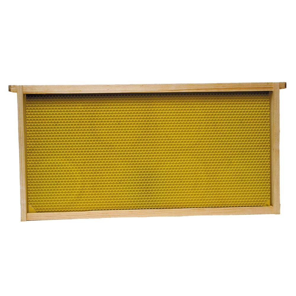 Harvest Lane Honey WWBCM-102 Medium Honey Super Box with 10 Frames /& Foundations
