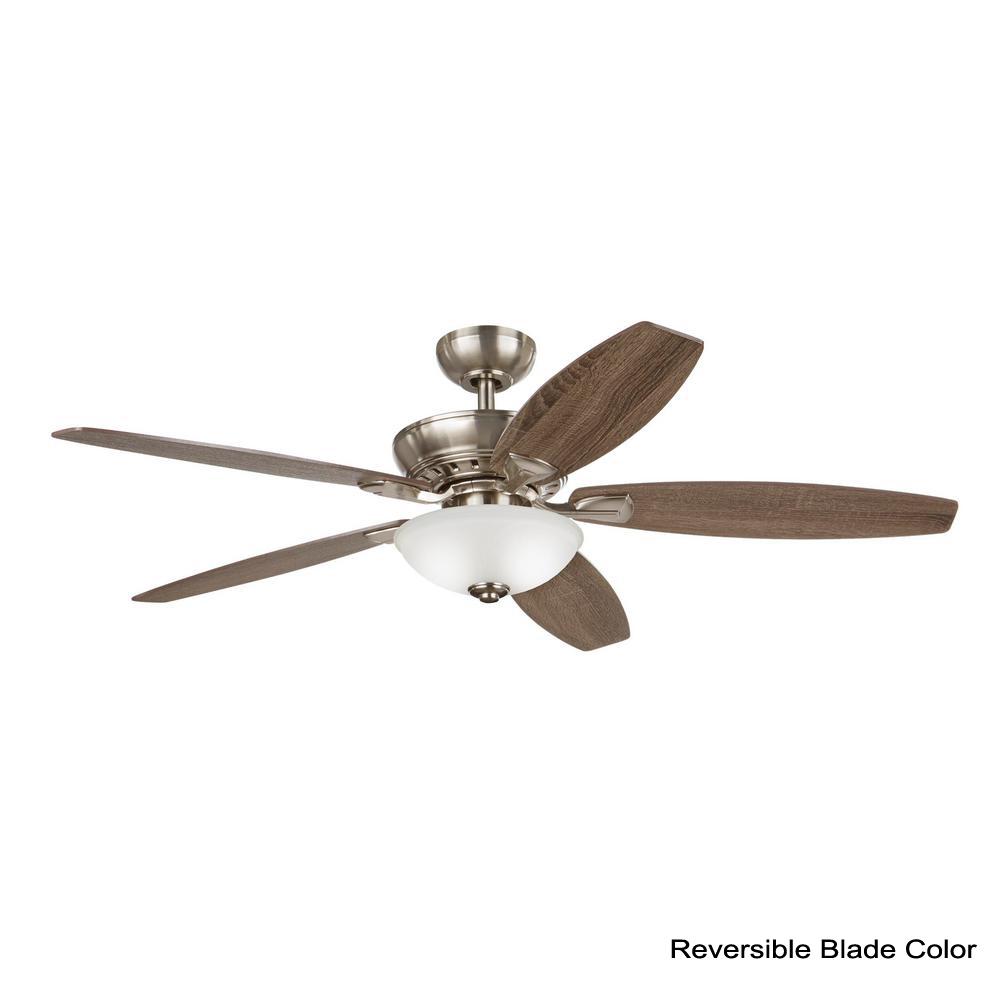 Ceiling Fan Motor Humming But Not Turning Shelly Lighting