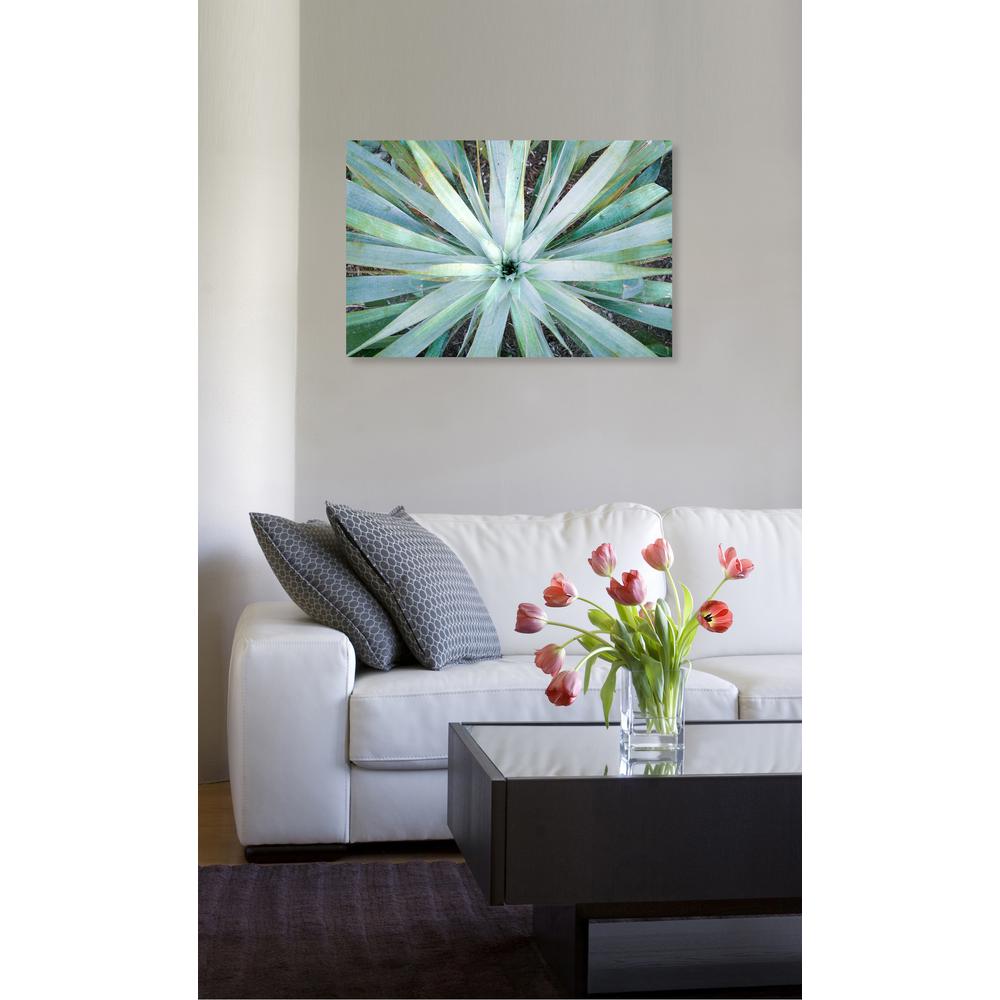 The Oliver Gal Artist Co 36 In X 24 In Plant Flower Illusion By Oliver Gal Printed Framed Canvas Wall Art 22910 36x24 Canv Xhd The Home Depot
