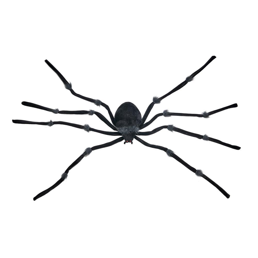 big black halloween spiders