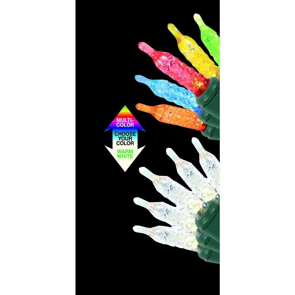 Battery Operated Christmas Lights Decorations The 50 Light Led Mini M5 Battery Operated Color Changing Lights