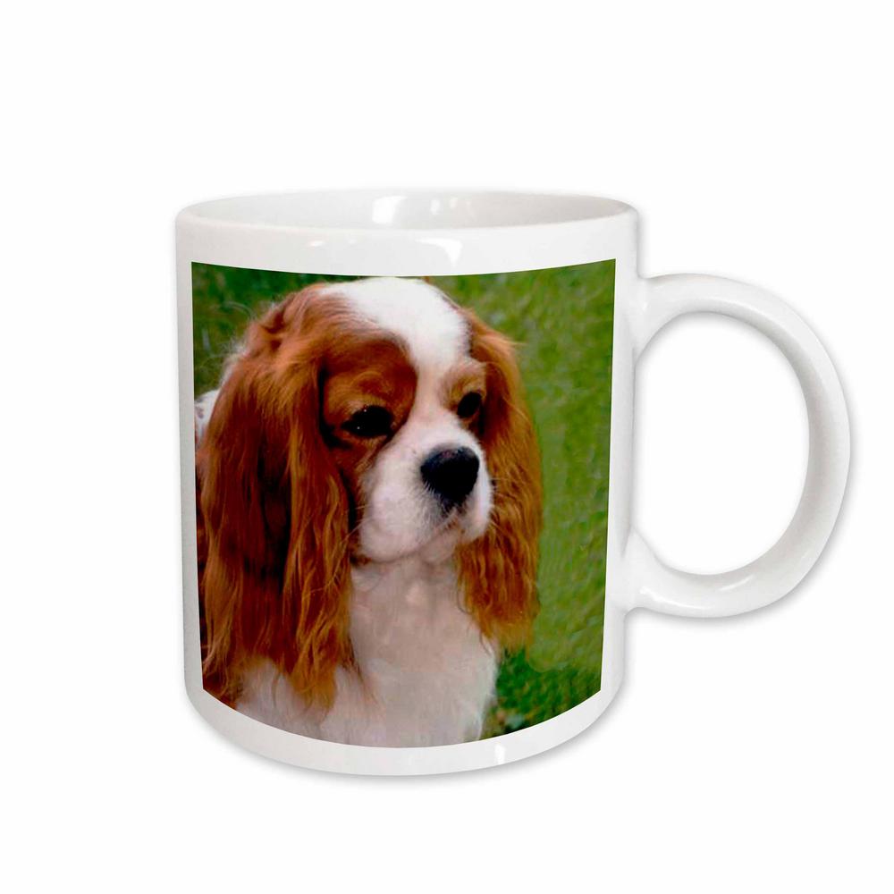 UPC 888414000102 product image for Dogs 11 oz. White Ceramic Cavalier King Charles Spaniels Mug | upcitemdb.com