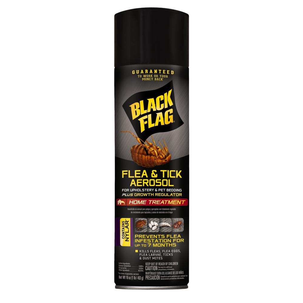 black flag flea killer