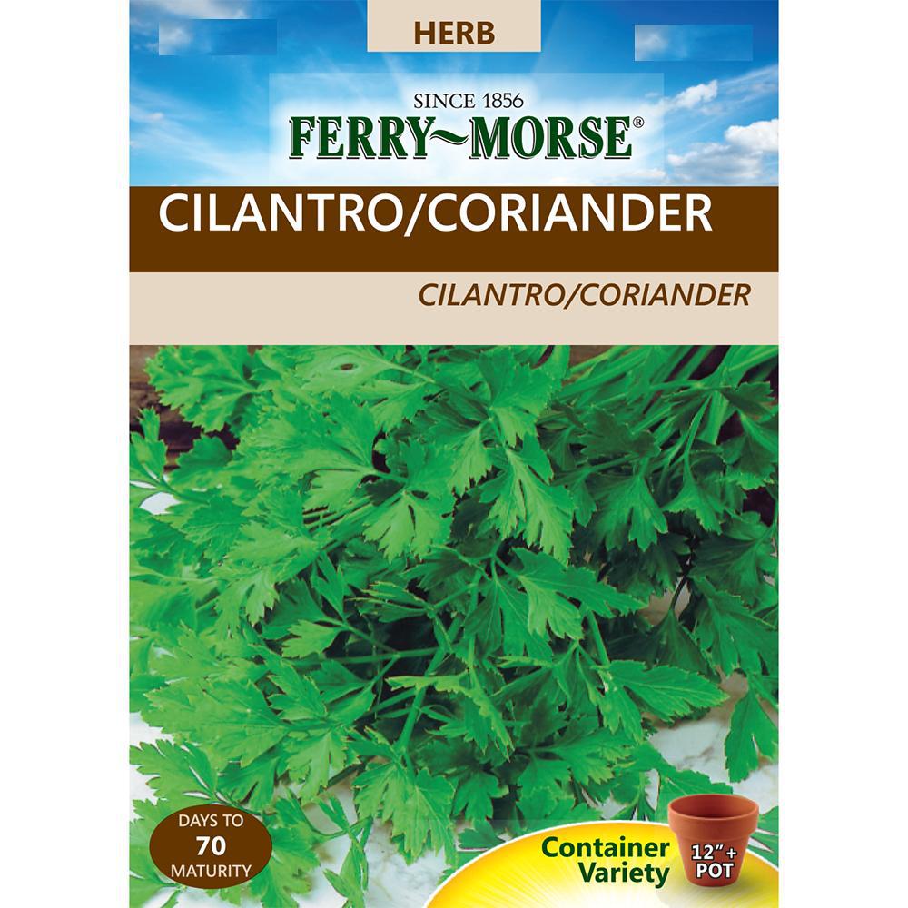 Ferry Morse Cilantro Coriander Seed