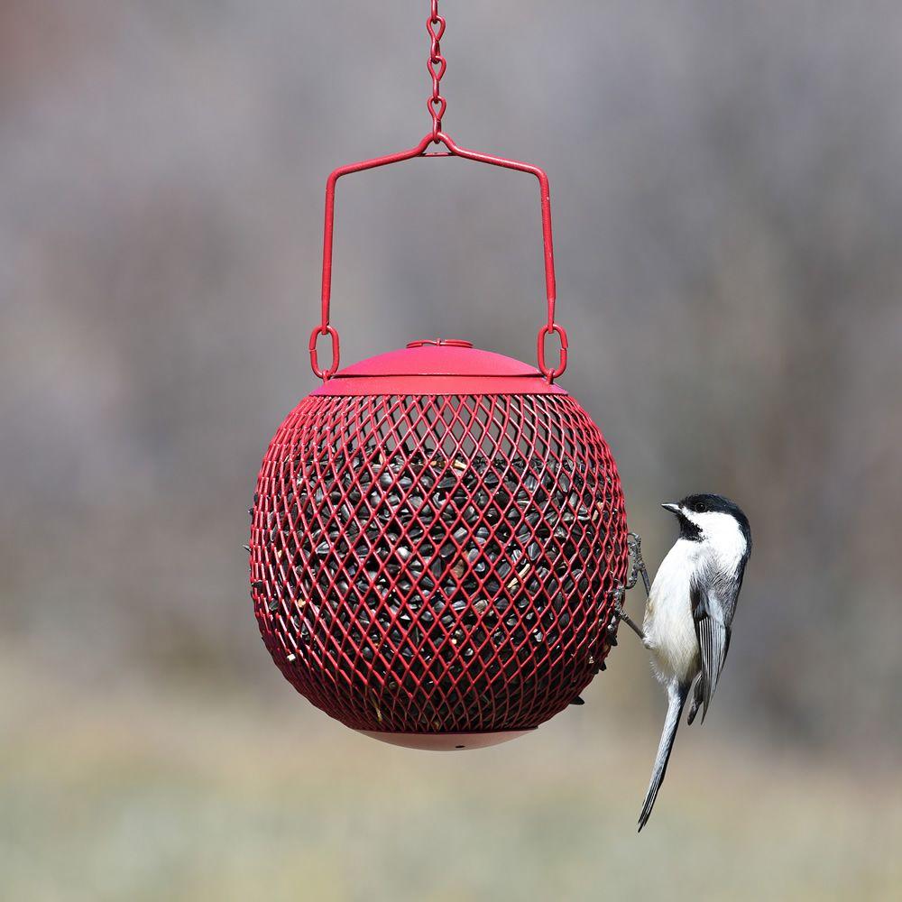 No No Red Seed Ball Hanging Bird Feeder 1 2 Lb Capacity