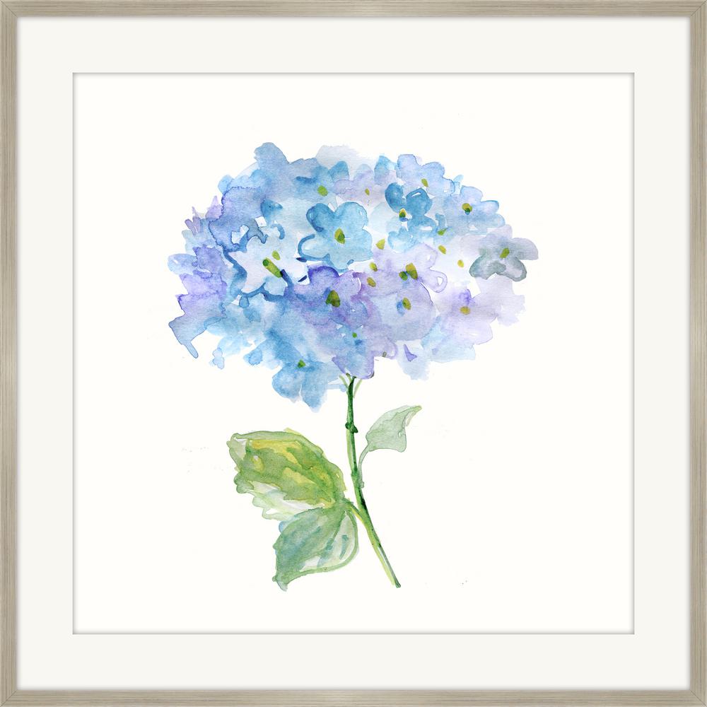 Melissa Van Hise 28 In X Hydrangea Framed Painting Print Hydrangea Framed Painting Print