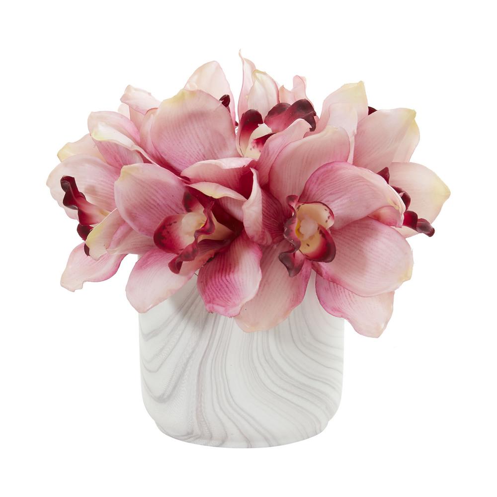 cymbidium