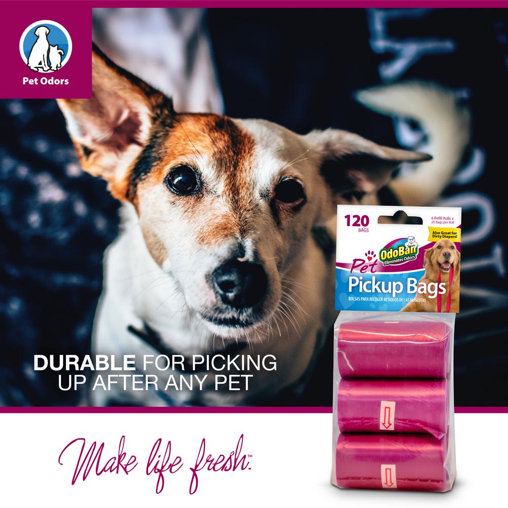 pet all star poop bags