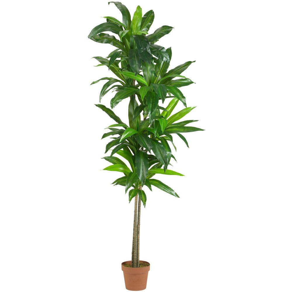 Nearly Natural Real Touch 6 Ft Dracaena Silk Plant 6596 The