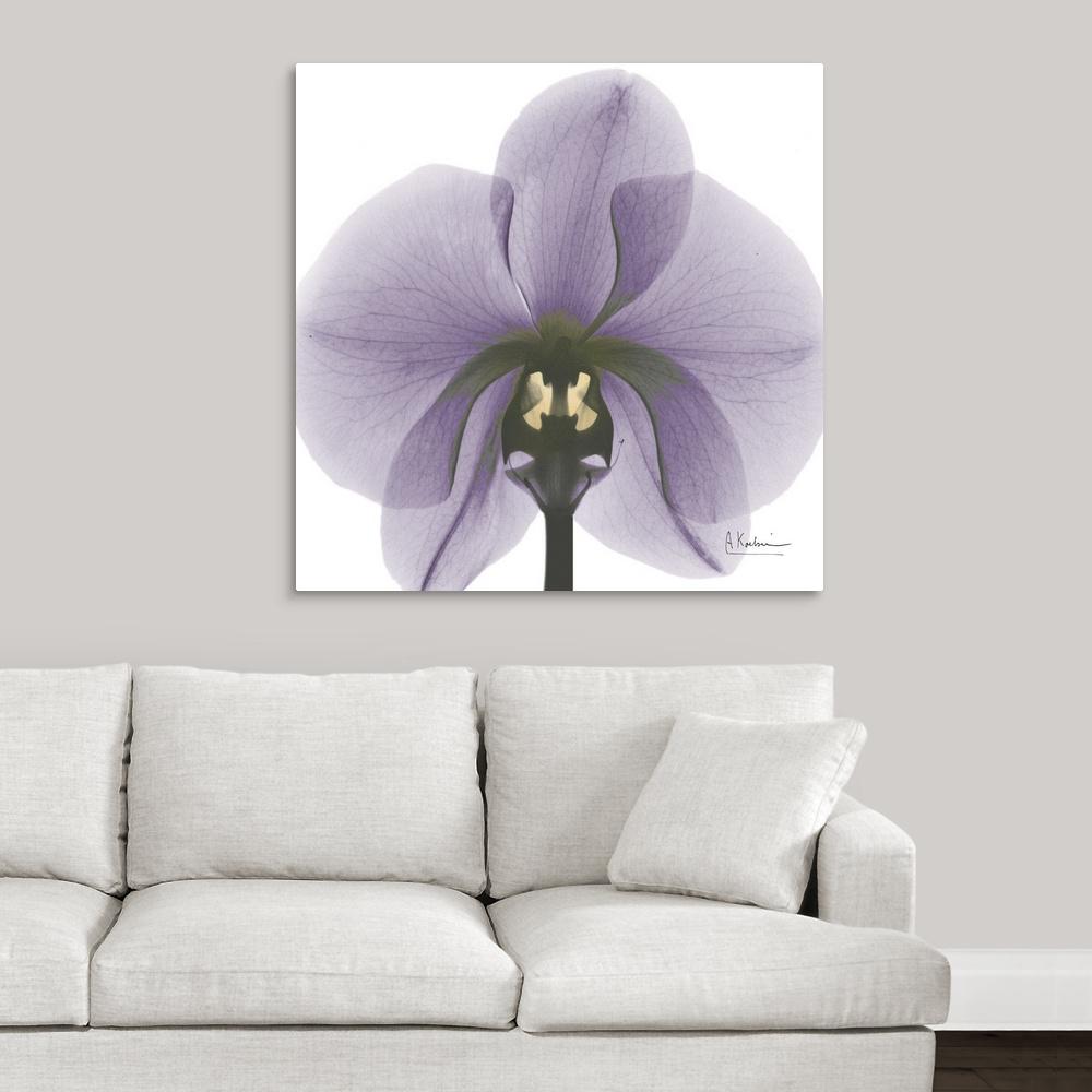 Greatbigcanvas Orchid X Ray Photography By Albert Koetsier Canvas Wall Art 1937223 24 36x36 The Home Depot