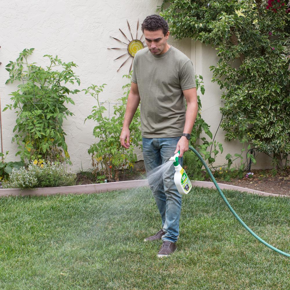 simple green outdoor odor eliminator near me