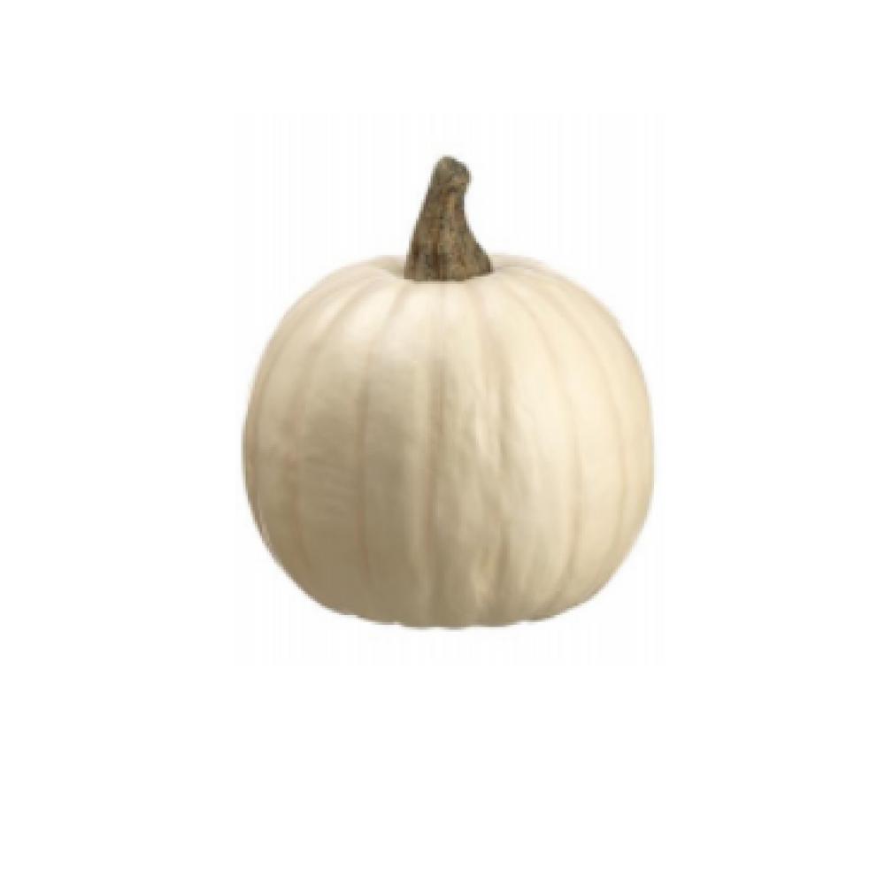 Northlight 8 5 In Cream White Pumpkin Fall Harvest Table Top Decoration 33912019 The Home Depot