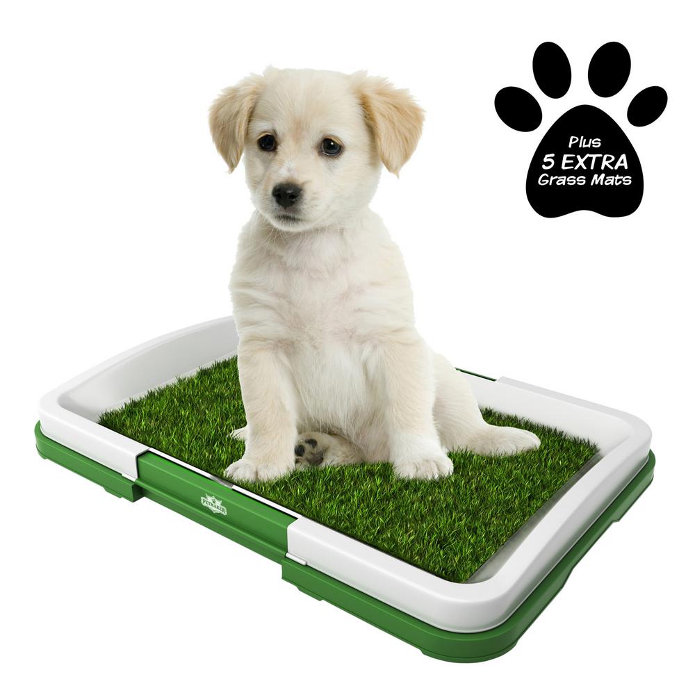 Puppy potty training tray Clearance
