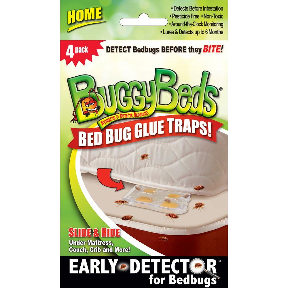 Buggybeds Home Bedbug Glue Traps Detects And Lures Bedbugs 4 Pack 40440 The Home Depot