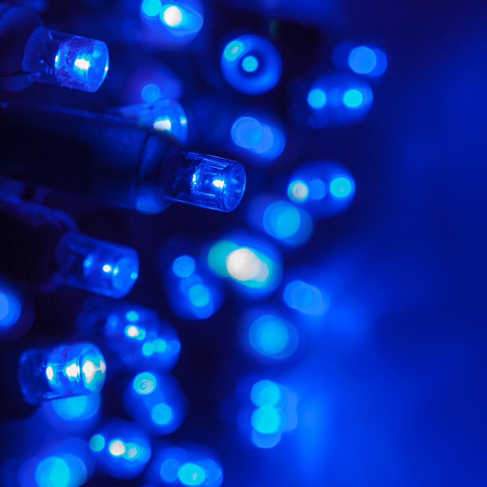 Wintergreen Lighting 24 Ft 70 Light Blue 5 Mm Led Mini Set Light Blue 5 Mm Led Mini Set