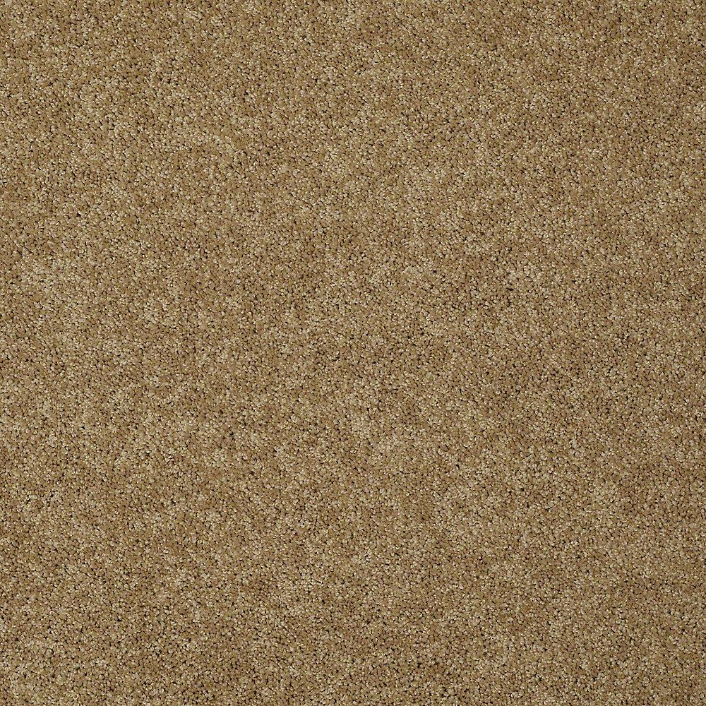 Nylon 100 Carpet Flooring The Home Depot