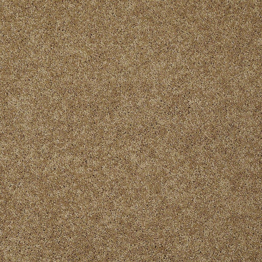 Shaw Carpet Sample Seascape I Color Cork Board 8 In X Sh Shaw Carpet Sample Seascape I Color Cork Board 8 In X